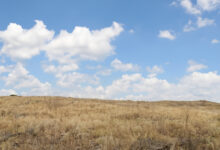 Photo of Изучение корейского языка