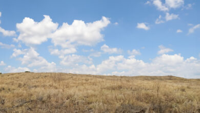 Photo of Изучение корейского языка