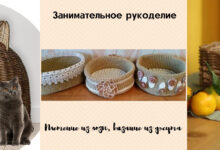 Photo of Уроки по вязанию