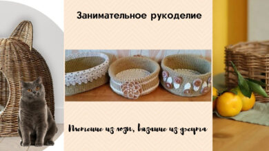 Photo of Уроки по вязанию